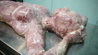 Illustration for article titled Resident Evil 6 Meat Stunt Might Make You Lose Your Lunch